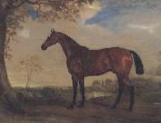 John Ferneley Portrait of a Hunter Mare,The Property of Robert shafto of whitworth park,durham oil painting on canvas